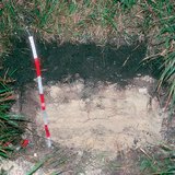 مقطع تربة الرندزينا