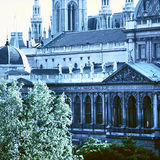 مبنى البرلمان في فيننا