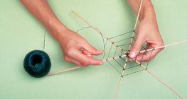 تشكل الشبكة العنكبوتية - الخطوة 2