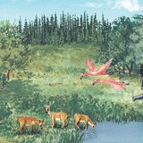 الحياة في العصر الميوسيني