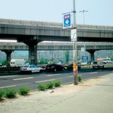 غابة من الاسمنت