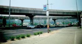 غابة من الاسمنت