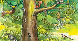 حيوانات الغابة