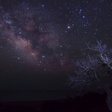 درب التبانة