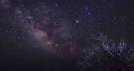 درب التبانة