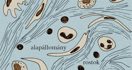 Laza rostos kötőszövet