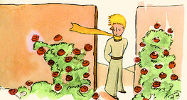 الأمير الصغير و الورود