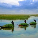 الاهوار: تعليم العراق يوجه الجامعات بدعم بيئتها وم