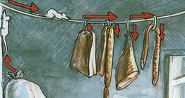 حياة الفأر المنزلي في مخزن، قبو