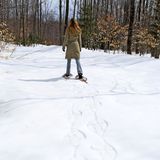 سلاسل الجليد