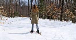 سلاسل الجليد