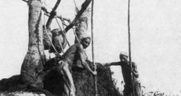 معدات الري، ما يسمى بالشادوف في مصر