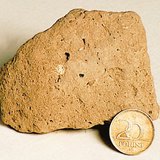 الراسب الطفالي