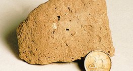 الراسب الطفالي