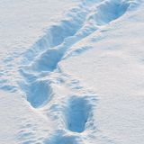 آثار أقدام في الثلج