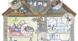 المباني السكنية يمكن أن تستضيف مجموعة متنوعة من المفصليات