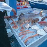 ينصح بتذوق المأكولات البحرية اليونانية