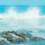 موجات تكسر الصخور على طول الشاطئ