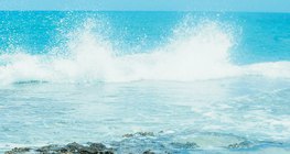 موجات تكسر الصخور على طول الشاطئ