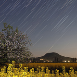 مسارات النجوم