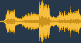 نقار الخشب الصغير