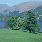 تقع اليوم الحدائق و المنتزهات الجميلة في المناطق التي أزيلت منها الغابات في انجلترا.