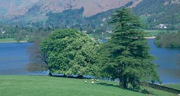 تقع اليوم الحدائق و المنتزهات الجميلة في المناطق التي أزيلت منها الغابات في انجلترا.