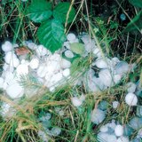 بعد عاصفة البرد