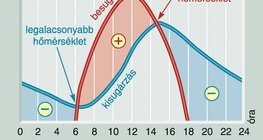 A besugárzás és a kisugárzás együtt alakítja a hőmérsékletet