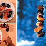 غذاء شتائي محلي الصنع للطيور