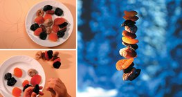 غذاء شتائي محلي الصنع للطيور