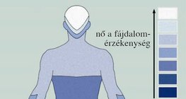 A bőr fájdalomérzékenysége a test különböző részein