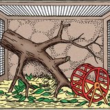 تنظيم قفص الحيوانات الزجاجي