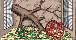 تنظيم قفص الحيوانات الزجاجي