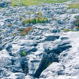 سطح الحجر الجيري