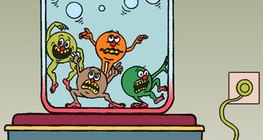 يشير ارتفاع درجة الحرارة الى حركة الجسيمات الأكثر وضوحاَ