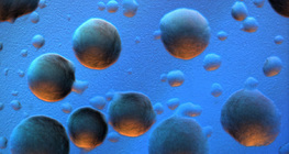 مستعمرات بكتيريا الإشريكية القولونية (بخلفية ملونة)