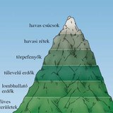 A magassági növényövek