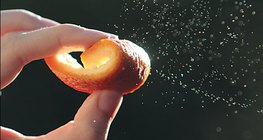 الزيوت العطرية - قشر البرتقال