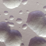 مستعمرات بكتيريا الإشريكية القولونية باللون الأصلي (الأبيض)