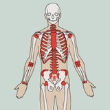 أماكن تشكل خلايا الدم