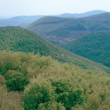 الجبال الصدعية