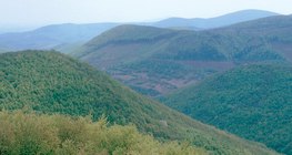 الجبال الصدعية