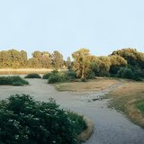 ارتفاع المد والجزر عند نهر الدانوب - 2