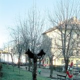 مرحاض الكلاب