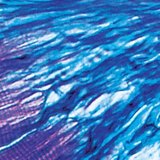 الاتصال بين العضلة و الوتر