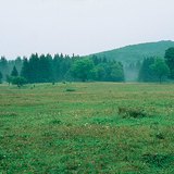 هضبة البوك (المجر)