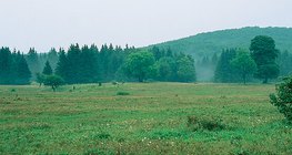 هضبة البوك (المجر)