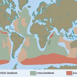 Üledékek a világtengerben