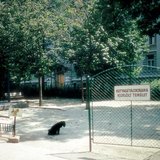 منطقة مخصصة لتمشية الكلاب